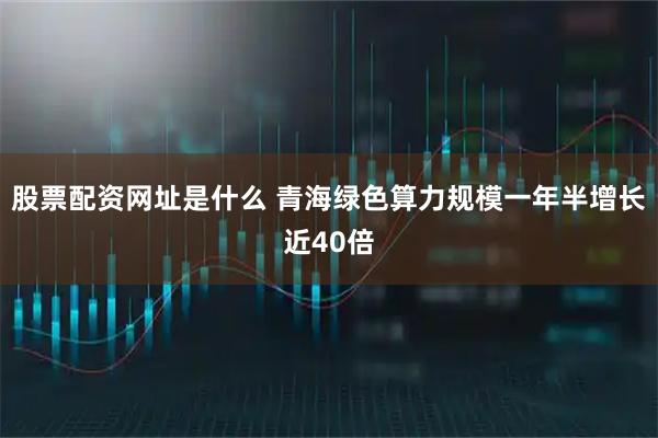 股票配资网址是什么 青海绿色算力规模一年半增长近40倍